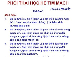 Phôi thai học hệ tim mạch - Nguyễn Thị Bình