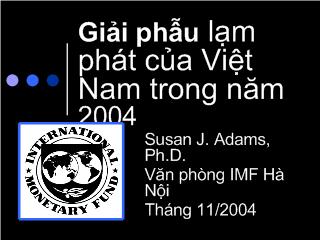 Bài giảng Giải phẫu lạm phát của Việt Nam trong năm 2004