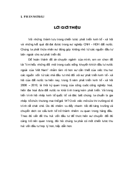 Đề tài Tìm hiểu những đổi mới trong cuộc sống khuyến khích đầu tư nước ngoài của Việt Nam