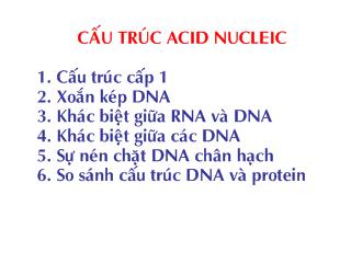 Bài giảng Di truyền đại cương - Cấu trúc Acid Nucleic