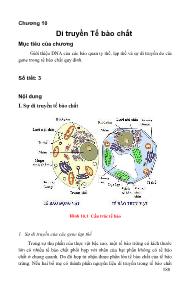 Bài giảng Di truyền học - Chương 10: Di truyền Tế bào chất