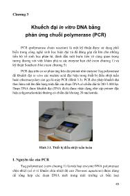 Giáo trình Công nghệ DNA tái tổ hợp - Chương 3: Khuếch đại in vitro DNA bằng phản ứng chuỗi polymerase (PCR)