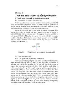 Giáo trình Công nghệ Protein - Chương 2: Amino acid - Đơn vị cấu tạo Protein