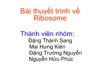 Đề tài Ribosome