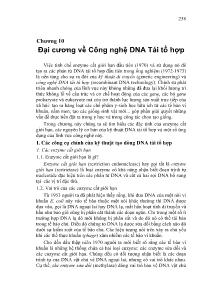 Giáo trình Di truyền học - Chương 10: Đại cương về công nghệ DNA tái tổ hợp
