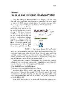Giáo trình Di truyền học - Chương 6: Gene và quá trình sinh tổng hợp Protein