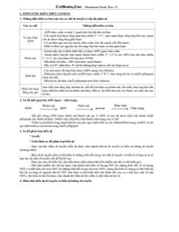 Những biểu diễn cơ bản của các cơ chế di truyền ở cấp độ phân tử