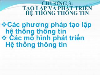 Bài giảng Hệ thống thông tin: Tạo lập và phát triển hệ thống thông tin