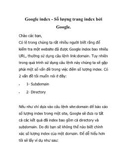 Google index - Số lượng trang index bởi Google