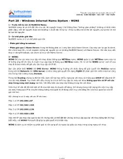 Hướng dẫn sử dụng Windows Internet Name System - WINS