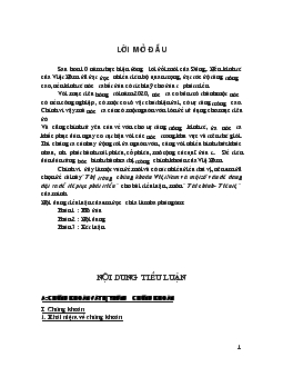 Tiểu luận Thị trường chứng khoán Việt Nam và một số vấn đề đang đặt ra để tiếp tục phát triển