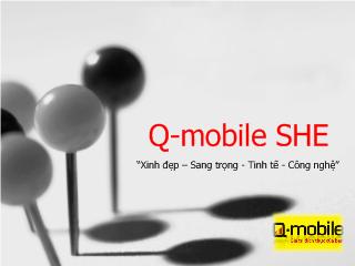 Đề tài Kế hoach Marketing- Mix cho sản phẩm điện thoại Q_mobile