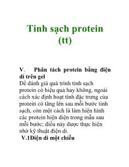 Tinh sạch protein (tt)