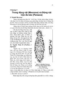 Trung động vật (Mesozoa) và Động vật Cận đa bào (Parazoa)