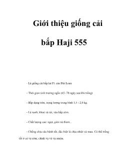 Giới thiệu giống cải bắp Haji 555