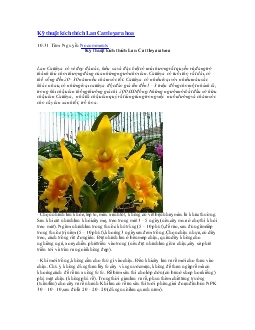 Kỹ thuật kích thích Lan Cattleya ra hoa