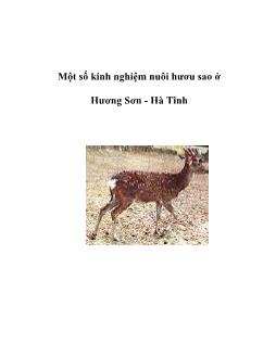Một số kinh nghiệm nuôi hươu sao ở Hương Sơn -Hà Tĩnh