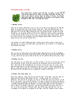 Phương pháp để giống rau muống