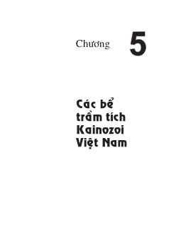 Các bể trầm tích Kainozoi Việt Nam