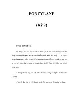 Fonzylane (kỳ 2)
