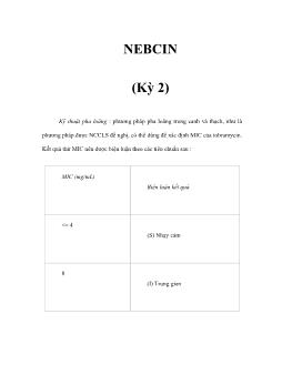 Nebcin (kỳ 2)