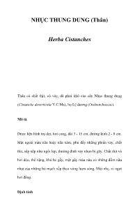 NHỤC THUNG DUNG (Thân) -Herba Cistanches