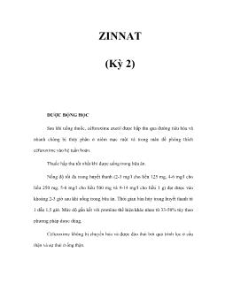 Zinnat (kỳ 2)