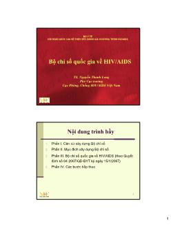 Bài giảng Bộ chỉ số quốc gia về HIV/AIDS