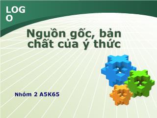 Nguồn gốc, bản chất của ý thức