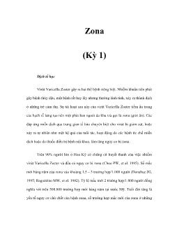 Tìm hiểu về Zona (Kỳ 1)