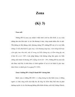 Tìm hiểu về Zona (Kỳ 3)