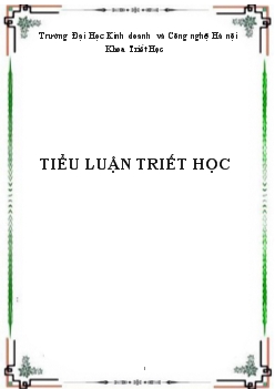 Tính triết học trong tiểu luận