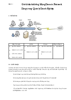 Hệ thống mạng domain network dùng trong quản lý doanh nghiệp