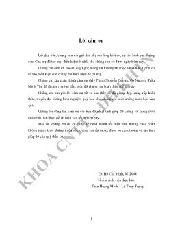 Tìm hiểu một số mẫu phân tích - Xây dựng công cụ hỗ trợ giai đoạn phân tích
