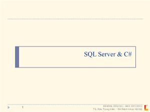 SQL Server và C#