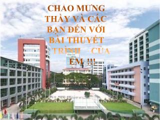 Đồ án Phụ nữ Viêt Nam