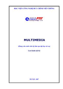 MULTIMEDIA (Dùng cho sinh viên hệ đào tạo đại học từ xa)