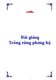 Bài giảng Trồng rừng phòng hộ