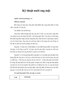 Kỹ thuật nuôi ong mật