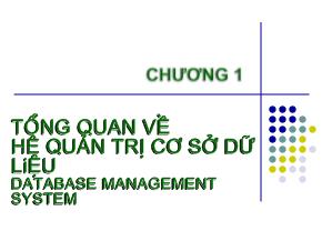Bài giảng Cơ sở dữ liệu - Chương 1: Tổng quan về hệ quản trị cơ sở dữ liệu