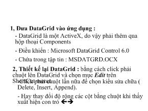 Bài giảng Cơ sở dữ liệu - Bài 4: DataGrid