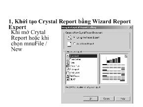 Bài giảng Cơ sở dữ liệu - Bài 7: Crystal Report