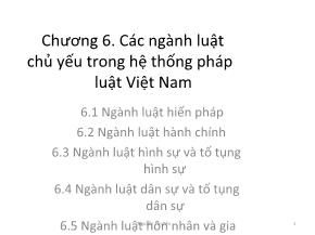 Các ngành luật chủ yếu trong hệ thống pháp luật Việt Nam
