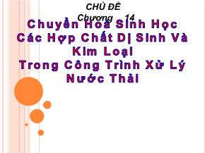 Chuyển hoá sinh học các hợp chất dị sinh và kim loại trong công trình xử lý nước thải