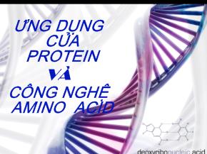 Ứng dụng của protein và công nghệ Amino Acid
