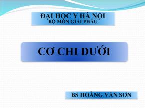 Bài giảng Các cơ chi dưới