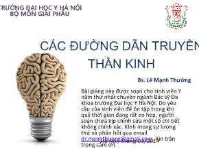 Bài giảng Các đường dẫn truyền thần kinh