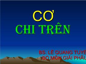 Bài giảng Cơ chi trên