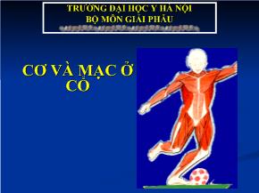 Bài giảng Cơ và mạc ở cổ