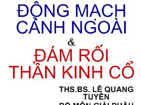 Bài giảng Động mạch cảnh ngoài và đám rối thần kinh cổ